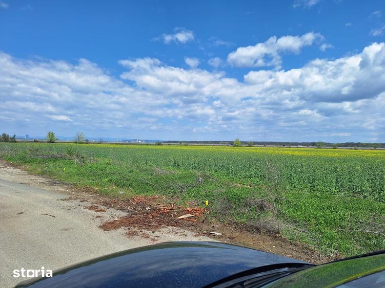 Teren de 32486 mp, în Bărcănești