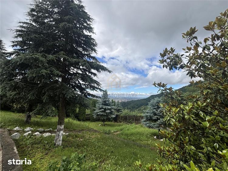 Casă cu 5 camere cu Teren 2500 Mp în Valea Roșie