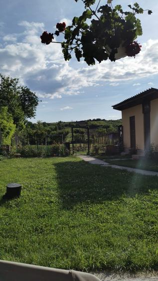 Casa Mischii teren 1000mp - 3