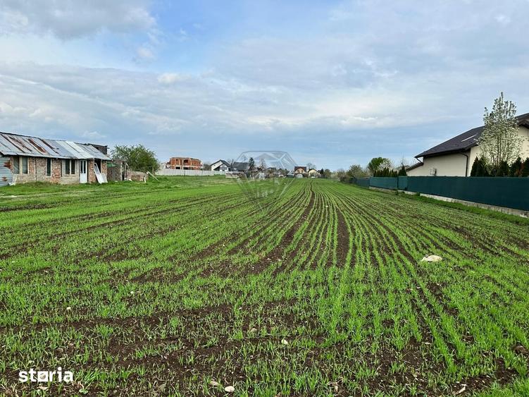 Teren de 3172 mp, în Târgșoru Vechi