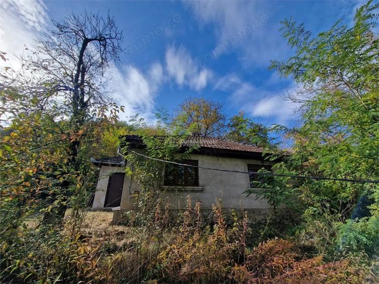 Casă cu Teren 4770 Mp în Central