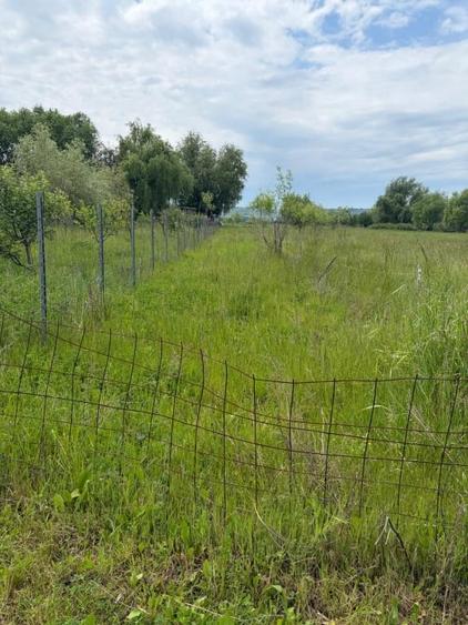 Teren agricol extravilan de 6000 mp, în Exterior Vest
