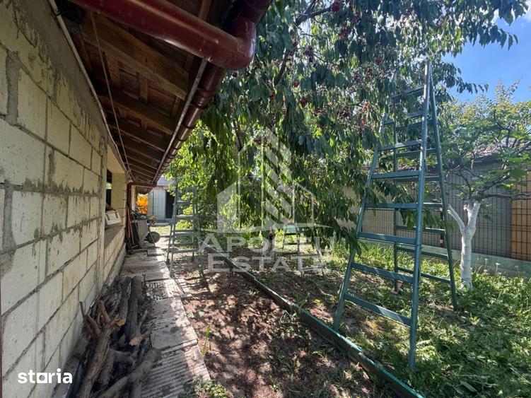 Casă cu 3 camere cu Teren 421 Mp în Plopi