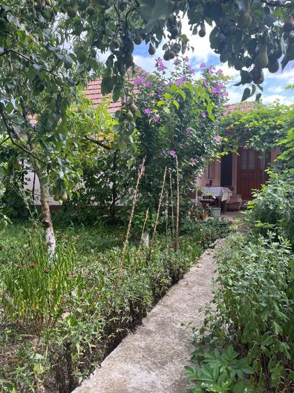 Casă cu 3 camere în Sucutard