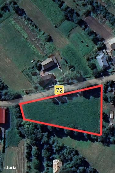 Teren Intravilan 3200 mp de vanzare - 19