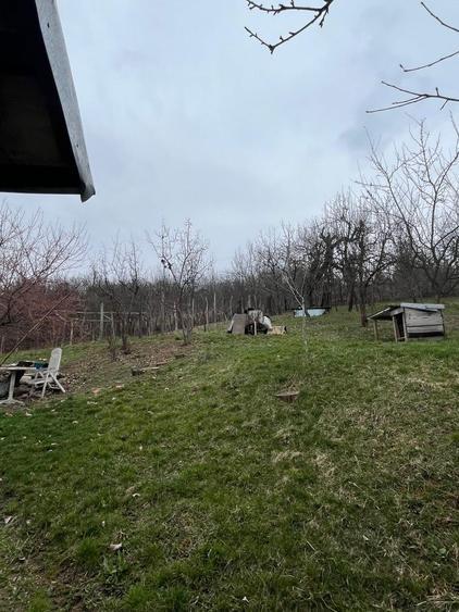 Casă cu 3 camere în Bălțești