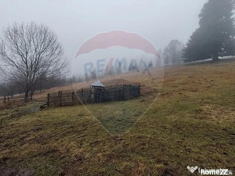 Teren de 26232 mp, în Dorna-Arini