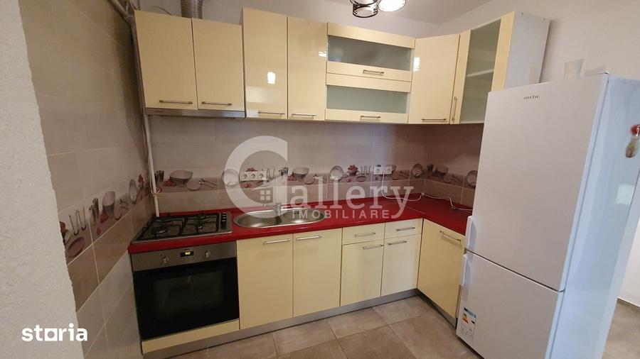 Apartament cu 2 camere în Sub Arini