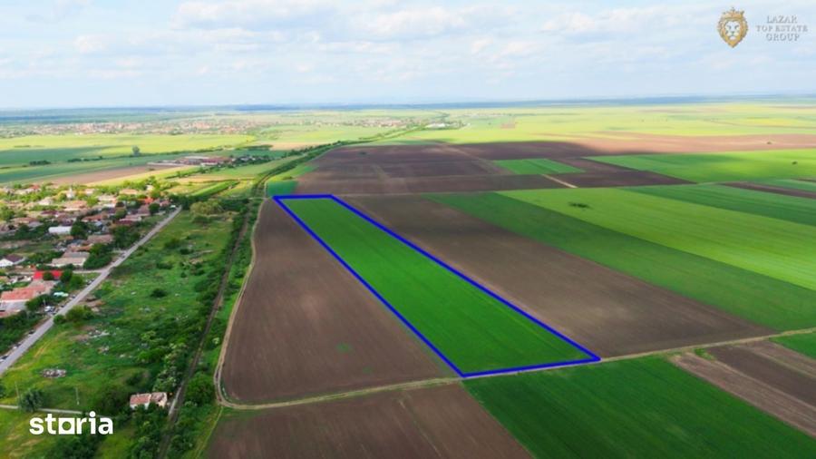 Teren de 68900 mp, în Secusigiu