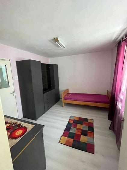 Apartament de inchiriat 2 camere, zona Mureseni - 5