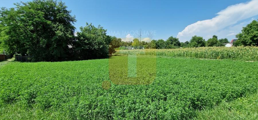 Teren Construcții intravilan de 4133 mp, în Girov