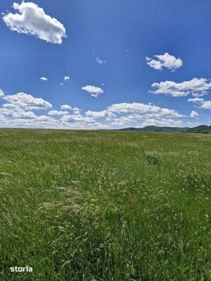 Teren de 14900 mp, în Crizbav