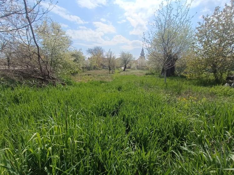 Teren intravilan 1000 mp | Ultracentral | Toate utilitățile | Alba Iulia - 1