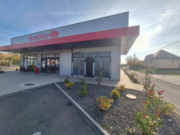 Spațiu comercial, de 70 mp, în Buziaș