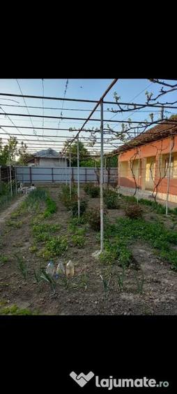 Casă cu 3 camere în Central