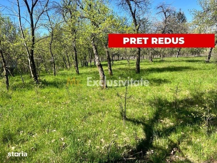 Spațiu comercial, în Stănești