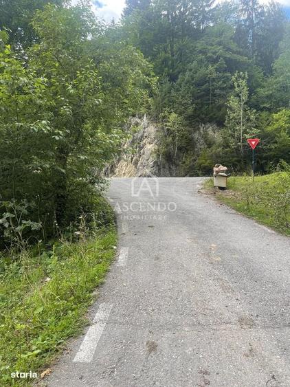 Teren Investitie Turistica Dambovicioara Baranga | 4.500 mp - 2