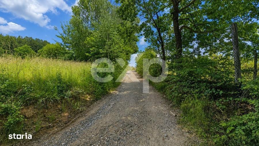 Teren cu potential de dezvoltare imobiliara cu panorama - 1