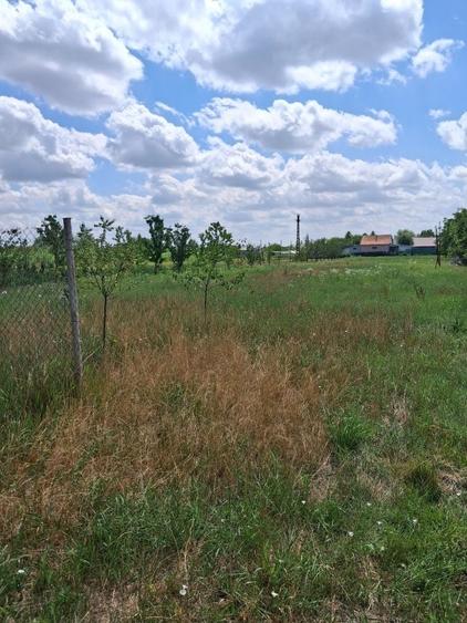 Casă cu 4 camere în Vetiș
