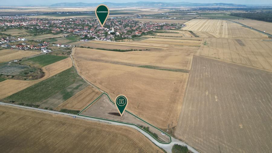 Teren Construcții intravilan de 5000 mp, în Vladimirescu