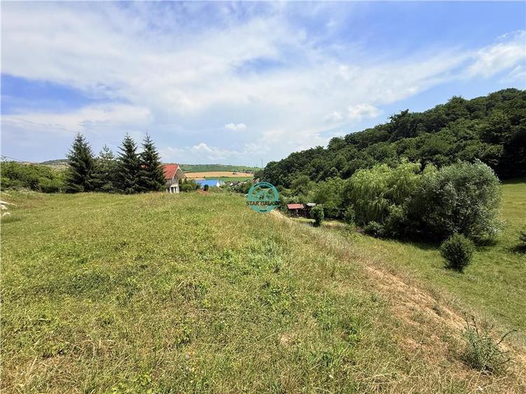 Teren Construcții intravilan de 2500 mp, în Unirii