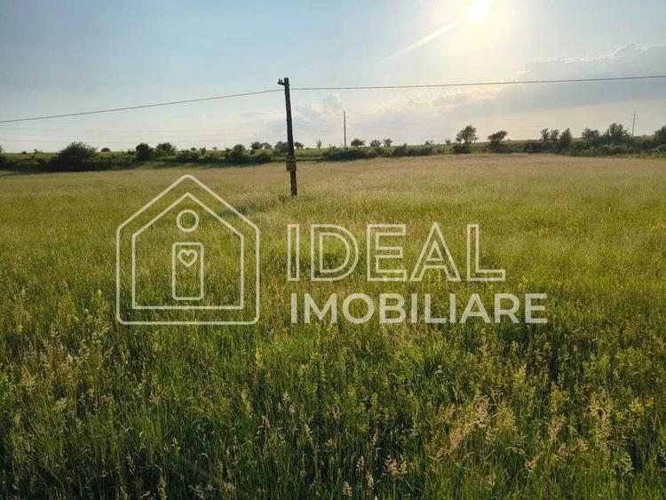 Teren agricol extravilan de 1800 mp, în Cârțișoara