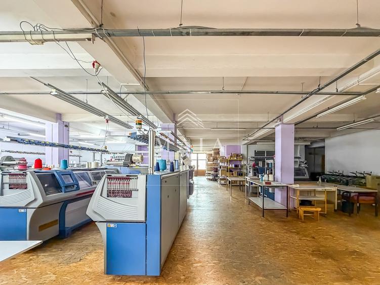 Spațiu industrial, de 703 mp, în Turnișor