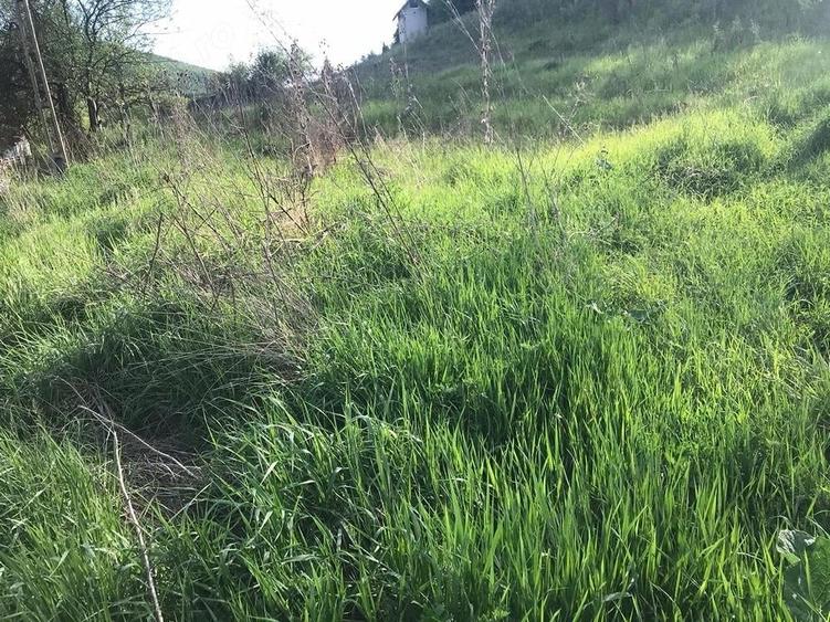 Teren de 2000 mp, în Sântejude