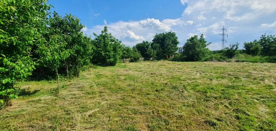 Teren de 3600 mp, în Central