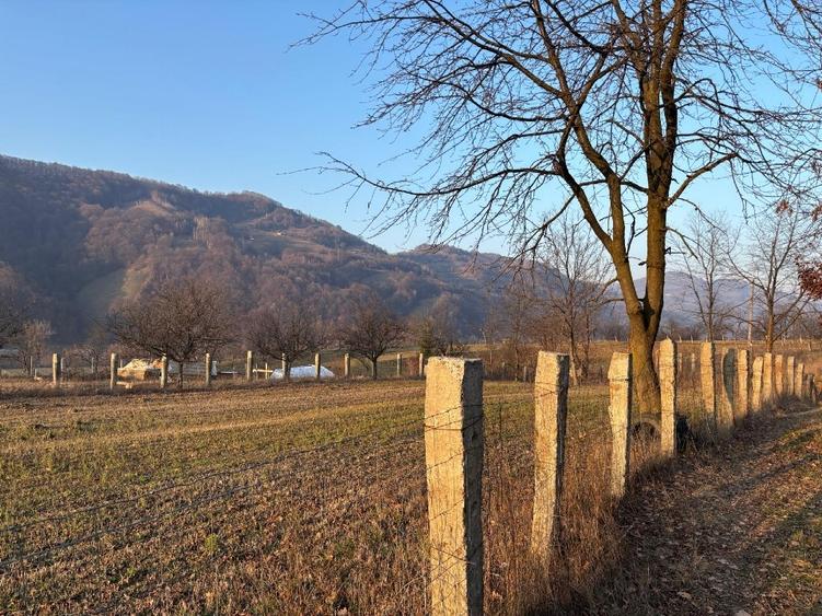 Teren agricol intravilan de 3111 mp, în Feldru