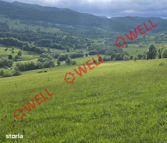 Teren de 9289 mp, în Vama Buzăului