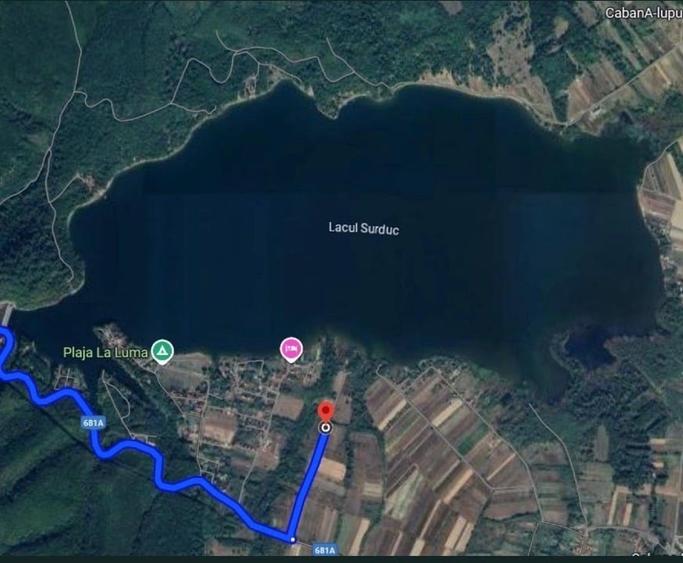 Teren Construcții intravilan de 2900 mp, în Fârdea