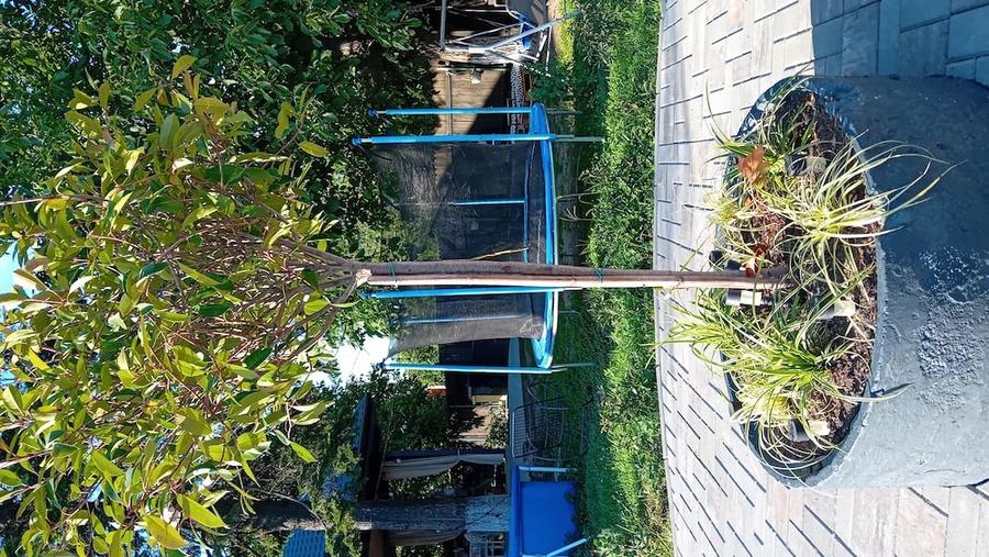 Casă cu 3 camere cu Teren 750 Mp în Petrăchioaia