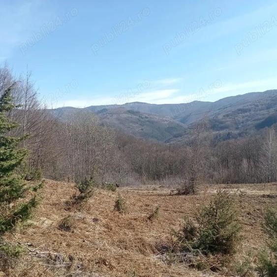 Teren de 10000 mp, în Luncșoara