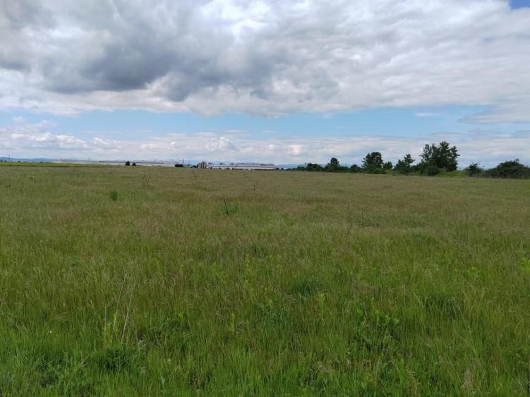 Teren de 114000 mp, în Ariceștii Rahtivani