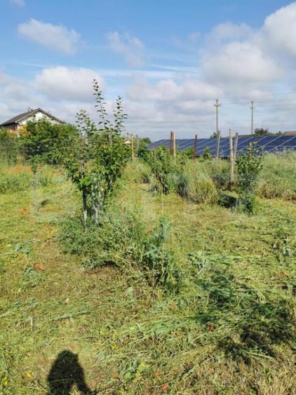 Teren intravilan de vanzare, 978 mp, zona Dudovicesti - 2