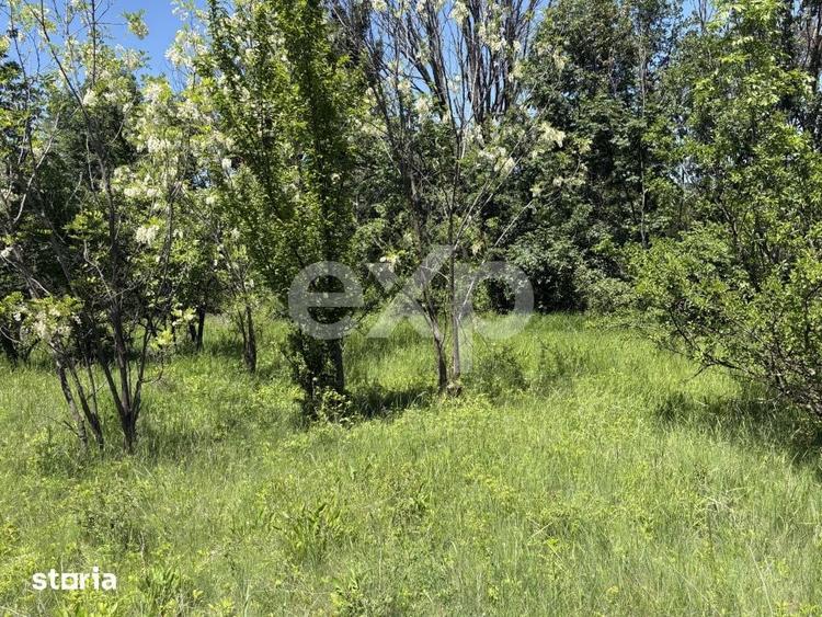 Teren de 2200 mp, în Moșoaia