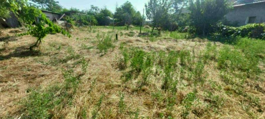 Casă cu 3 camere cu Teren 1400 Mp în Budeni