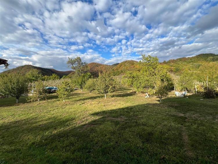 Casă individuală cu 6 camere cu Teren 5700 Mp în Cicârlău