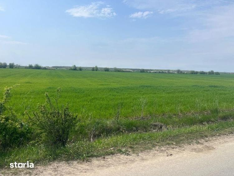 Teren de 5600 mp, în Ciocănești