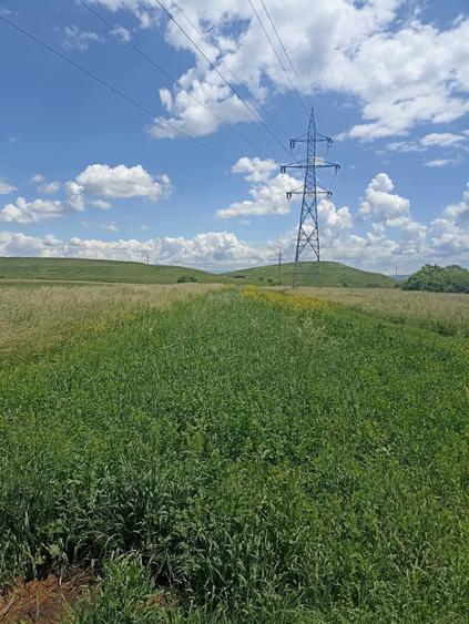 Teren agricol extravilan de 2900 mp, în Periferie