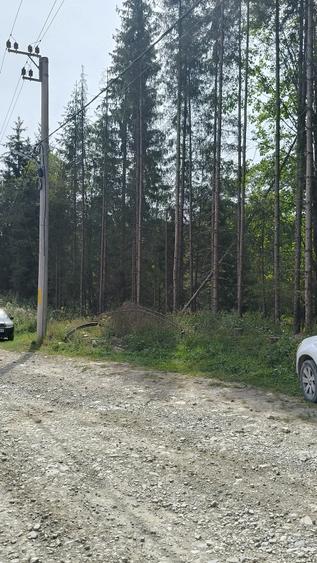 Traisteni-Teren intravilan de vanzare - 1