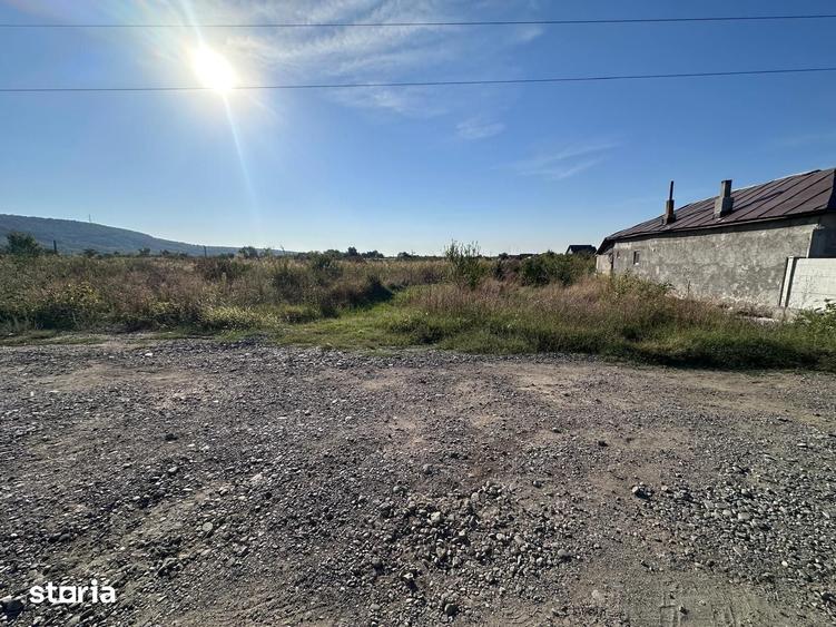 Teren de 4225 mp, în Bucșani