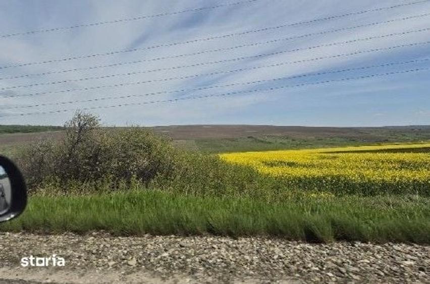 Teren de 15900 mp, în Probota