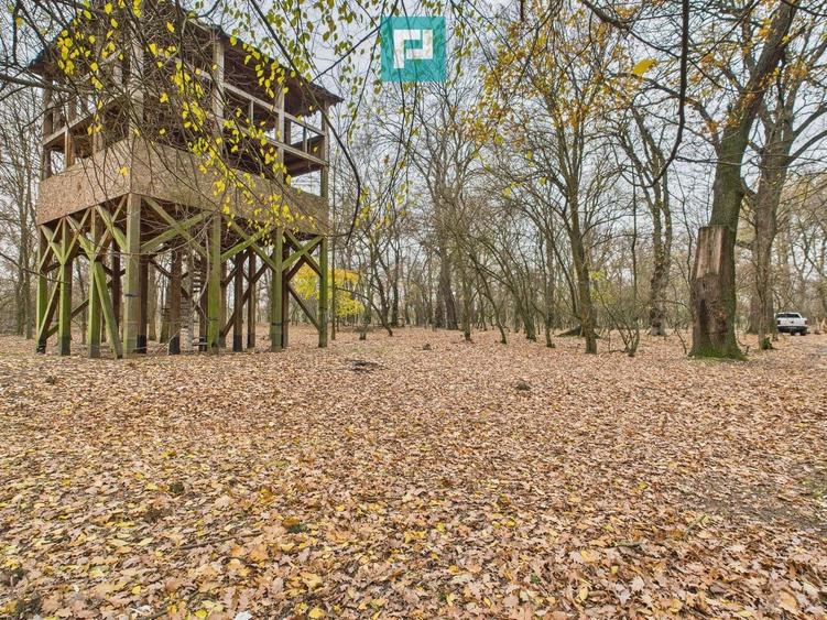 Teren extravilan de 5000 mp, în Periam