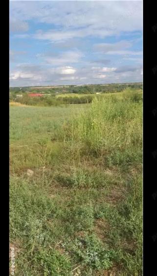 Teren de 3750 mp, în Husasău de Tinca