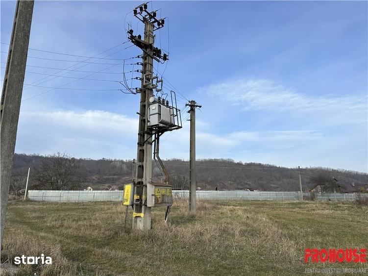 Teren de 27015 mp, în Racova