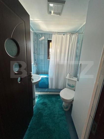 Casă individuală cu 6 camere cu Canalizare în Viișoara