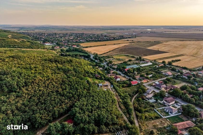Teren de 1150 mp, în Miniș