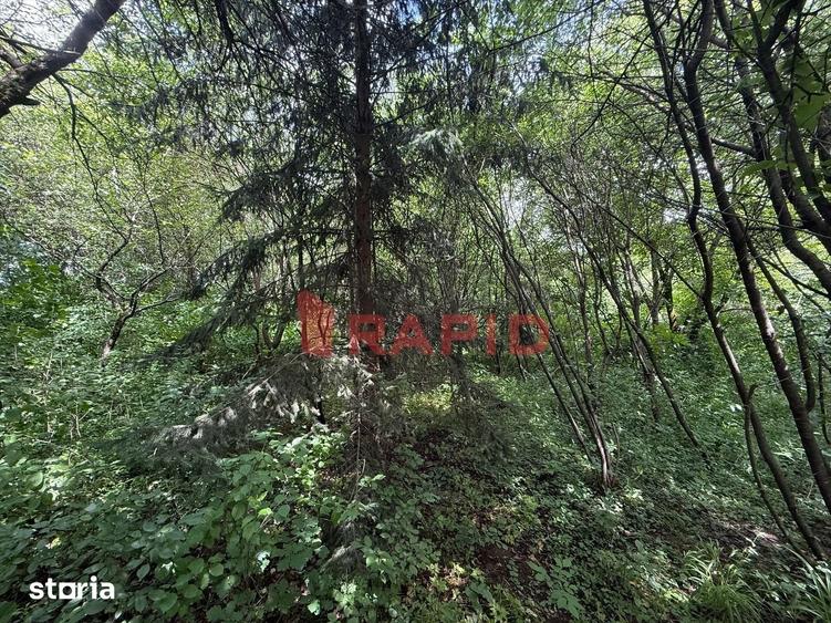 Teren intravilan, 3436mp, Zona Podul Jelnei - 1